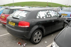 Lowey 7h - ETS - Weddings - Lesley + Matt (6)