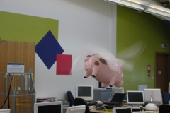 lowey-8a-egg-locations-derby-49