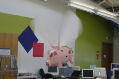 lowey-8a-egg-locations-derby-50