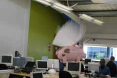 lowey-8a-egg-locations-derby-51