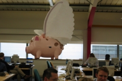 lowey-8a-egg-locations-derby-53