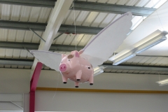 lowey-8a-egg-locations-derby-54