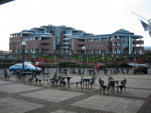 lowey-8b-egg-locations-dudderloy-25