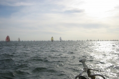 sailing-050